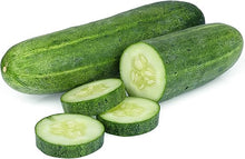 Balcony Cucumber Seeds for home growers seeking a reliable harvest