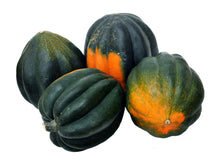 Table King Acorn Squash Seeds for a productive addition to the vegetable patch