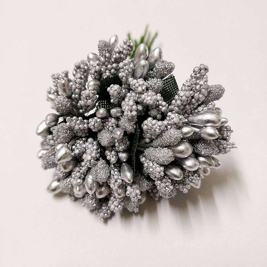 Silver Rose for planting