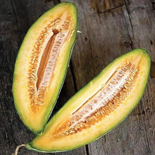 Banana Melon Cantaloupe Seeds for a productive addition to the vegetable patch