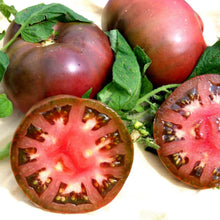 Cherokee Purple Tomato Seeds for growers stocking a kitchen garden