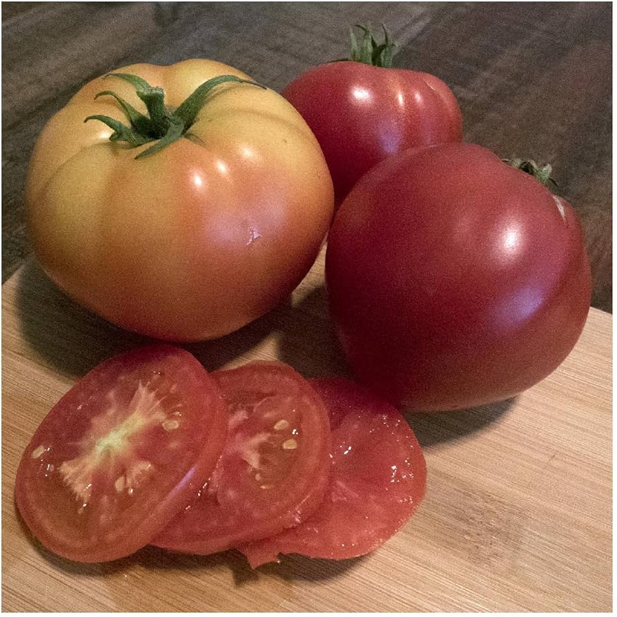 Abe Lincoln tomato vegetable seeds
