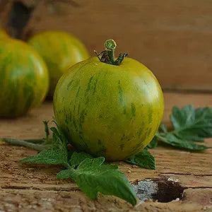 Green (Zebra Tomato Seeds – Striped Heirloom Variety with Tangy Flavor) for planting in garden