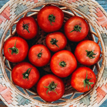 Heirloom OG Eva Purple Ball Tomato Seeds known for organically Grown, Rich Purple Tomatoes