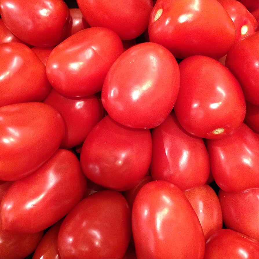 Amish Paste Tomato – Solanum lycopersicum – for planting in sauce gardens