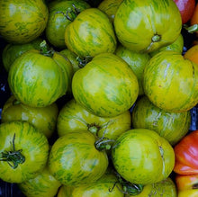 Green Zebra Tomato Seeds for home growers seeking a reliable harvest