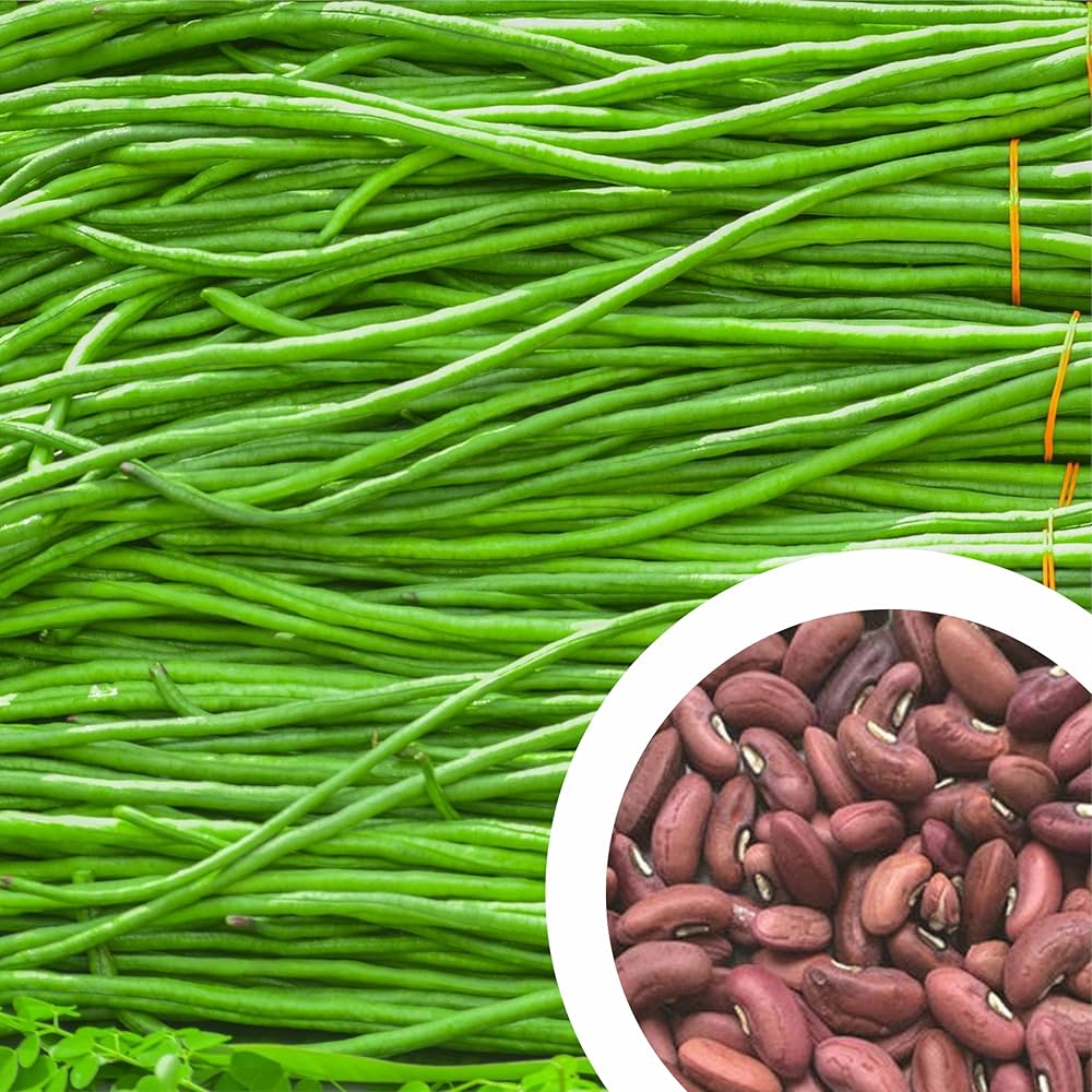 Long Snake Bean Vegetable Seeds