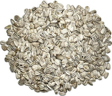 Sunflower Mammoth Grey Stripe Seeds for colorful blooms in the Large Garden Sunflowers