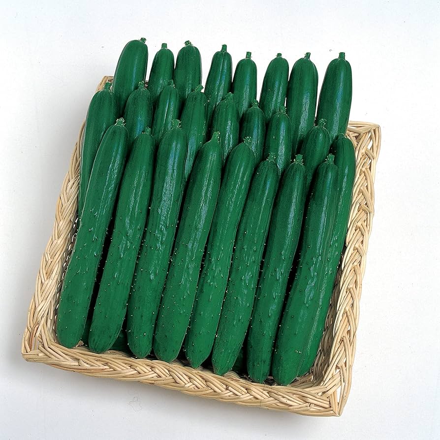 Soarer Hybrid Cucumber seeds
