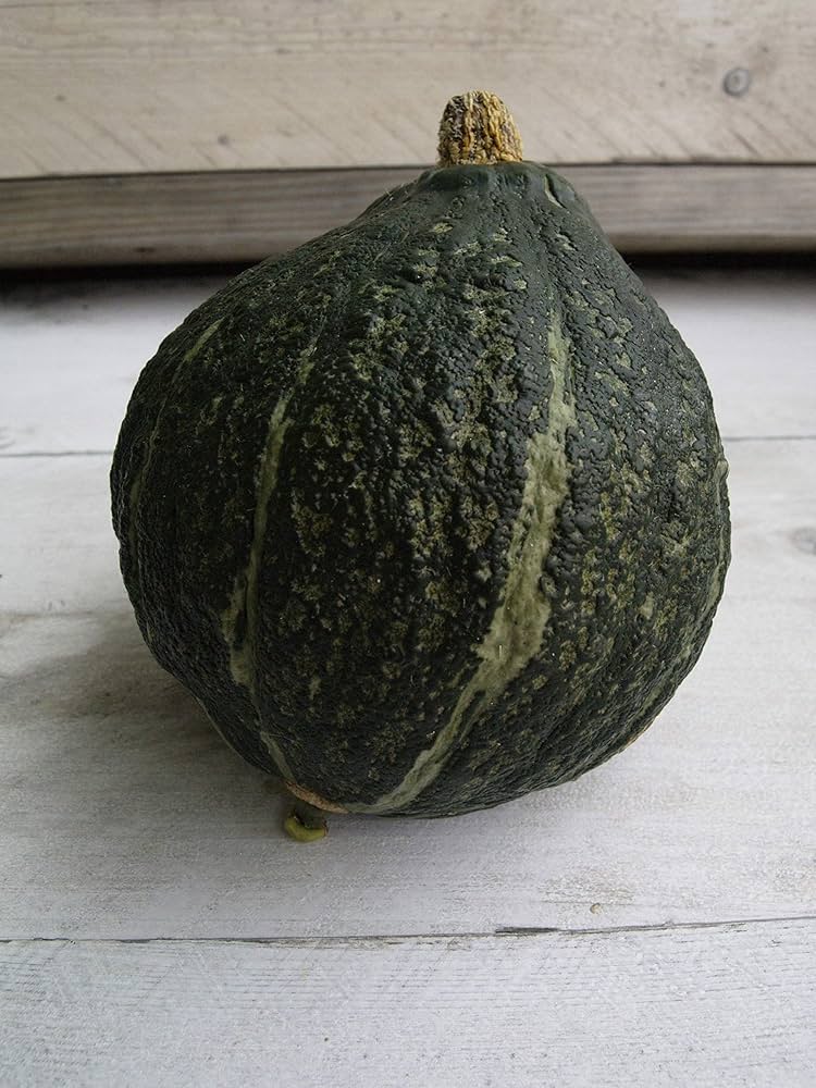 Hubbard Squash Seeds