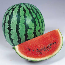 Watermelon Seeds (Citrullus lanatus) for a fresh homegrown crop from the Home Garden