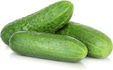 Cucumber Seeds for growers stocking a kitchen garden