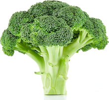 Broccoli Waltham 29 Seeds for productive rows in the Nutritious Home Garden Vegetable