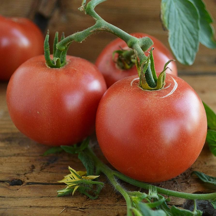 Heirloom OG Eva Purple Ball Tomato Seeds
