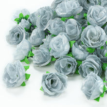 Silver Rose Seeds for growers seeking a long-blooming display