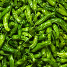 Organic Shishito Pepper Seeds for growers stocking a kitchen garden