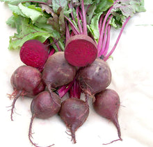 Detroit Dark Red Beet Seeds (Beta vulgaris) prized among growers for root Crop Planting