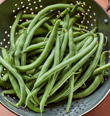 Bean Seeds for home growers seeking a reliable harvest