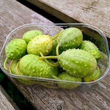 Krymson Svyt Anguria Seeds for home growers seeking a reliable harvest