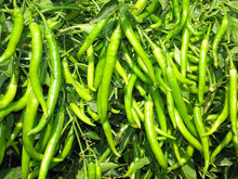 Green Pepper Seeds for a productive addition to the vegetable patch