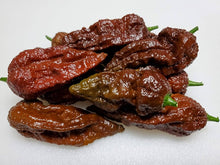 Chile Pepper Seeds (Capsicum chinense) for productive rows in the Bhutlah BBG7 Chocolate Bubblegum in Kitchen Garden