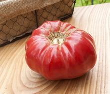 Brandywine Sudduth Strain Tomato Seeds (Solanum lycopersicum) for a reliable harvest in the home vegetable garden planting