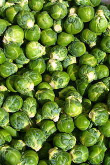 Brussels Sprouts Seeds (Brassica oleracea) for a bright addition to the kitchen garden and planting