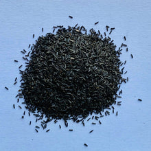 Susan Rudbeckia Hirta Black Eyed Seeds known for cottage Natural Landscaping