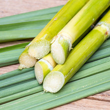 Sugarcane and sugar fruits are rich in sugar. Bonsai plants in vases are perfect for the home and garden  ornamental garden plants. Premium Quality Seeds
