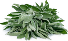 Sage Plants for cooks growing their own fresh herbs