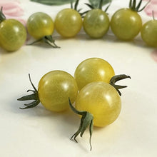 Coyote Tomato Seeds (Solanum lycopersicum) for a reliable harvest in the small-space kitchen gardens