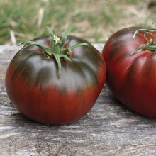 Heirloom Non-GMO Black Mauri Tomato Seeds valued by growers for rich, Flavorful Dark Tomatoes