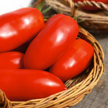 Heirloom Tomato Seeds (Solanum lycopersicum) for productive rows in the kitchen garden beds