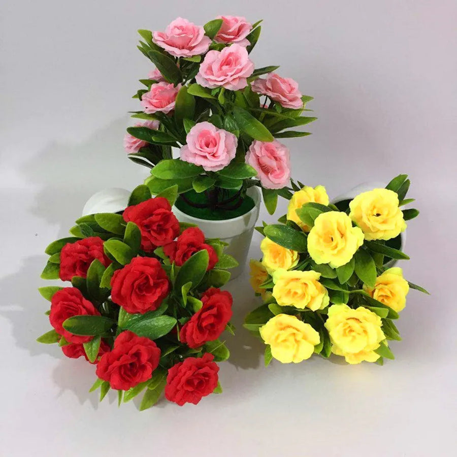 Exotic miniature bonsai rose flower seeds for bonsai planting