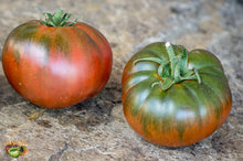 Amazon Chocolate Tomato Seeds for growers stocking a kitchen garden