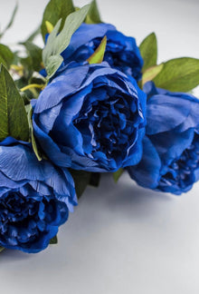 Dark Blue Tree Peony Seeds et  Ornamental Garden Plant Garden Plant Seeds