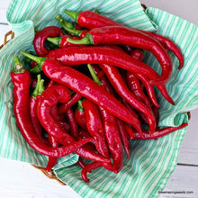 Long Red Slim Cayenne Pepper Seeds known for hot, Slim Peppers