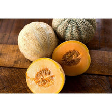 TRM830 Halona Hybrid Melon Seeds for a productive addition to the vegetable patch