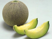 Ichiba Kouji Melon Seeds (Cucumis melo) for a fresh homegrown crop from the Garden & Orchard