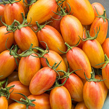 Tomato Seeds (Solanum lycopersicum) for a reliable harvest in the kitchen garden or balcony containers