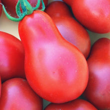 Ukrainian Pear Tomato Seeds (Solanum lycopersicum) for a reliable harvest in the late-season home gardens