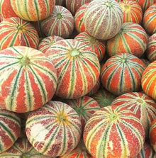 Sweet Melon Seeds (Cucumis melo) for a reliable harvest in the Vegetable Patch & Garden