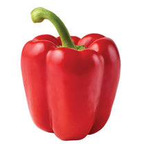 YOLO WONDER PFEFFER Seeds known for sweet, Large Peppers
