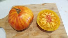 Copia Tomato Seeds prized among growers for sweet, Juicy Heirloom Tomatoes