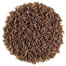 Cumin Herb Seeds for growers seeking a long-blooming display