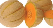 TRM830 Halona Hybrid Melon Seeds for a productive addition to the vegetable patch