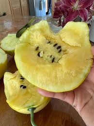 Lemon Drops Melon Seeds (Cucumis melo) for growers stocking the Garden & Orchard