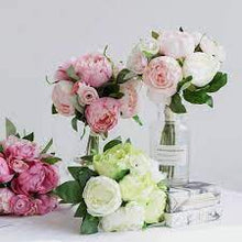 Camellia Mixed Colors Ornamental Seeds for gardeners building out beds and borders
