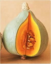 Blue Hubbard Squash Seeds for a reliable harvest in the vegetable patch