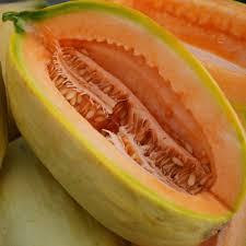 Banana (Melon Cantaloupe Seeds – Sweet Melon with Banana Aroma) for planting in garden